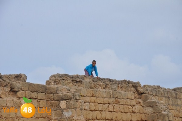 roben awqfaf0412 (5).JPG